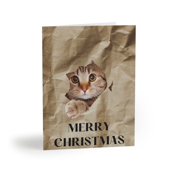 Cat In A Box Card Festive & Happy Holiday Greeting Cards | Christmas Card Set with Envelopes (8, 16, and 24 pcs) Perfect Gift Message