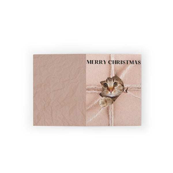 Cat Present Parcel Card Festive & Happy Holiday Greeting Cards | Christmas Card Set with Envelopes (8, 16, and 24 pcs) Perfect Gift Message
