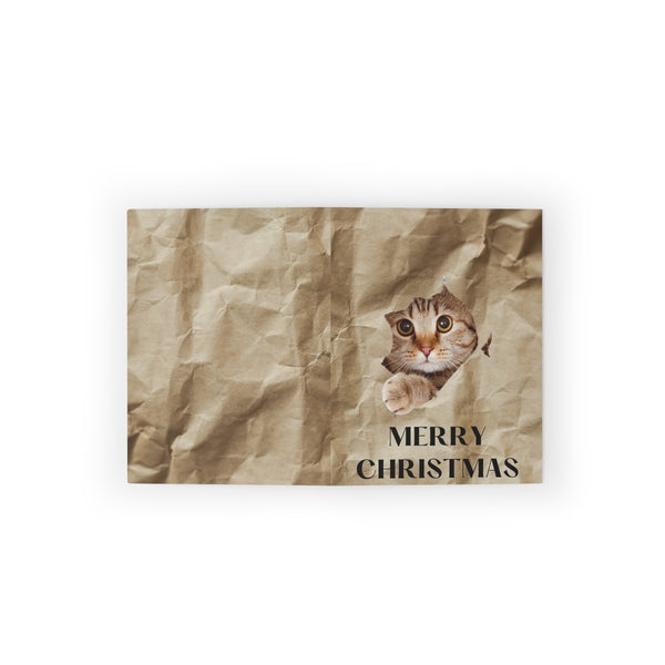 Cat In A Box Card Festive & Happy Holiday Greeting Cards | Christmas Card Set with Envelopes (8, 16, and 24 pcs) Perfect Gift Message