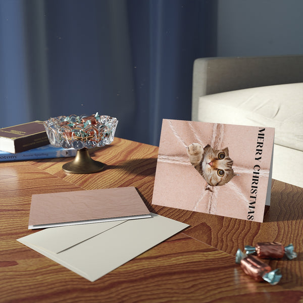 Cat Present Parcel Card Festive & Happy Holiday Greeting Cards | Christmas Card Set with Envelopes (8, 16, and 24 pcs) Perfect Gift Message